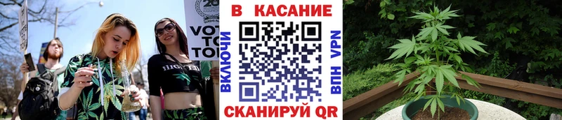 Купить наркотики сайты Невель Амфетамин КОКАИН Меф МАРИХУАНА Гашиш Бутират Альфа ПВП