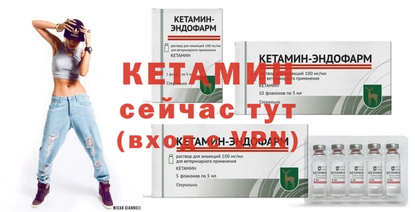 твердый Вяземский