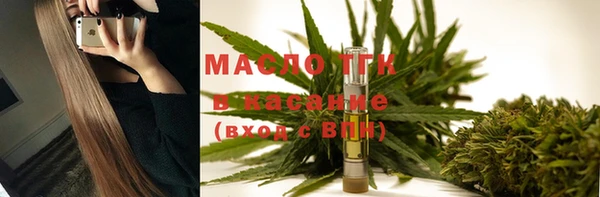 твердый Вяземский