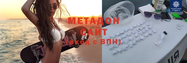 прущие грибы Тихвин