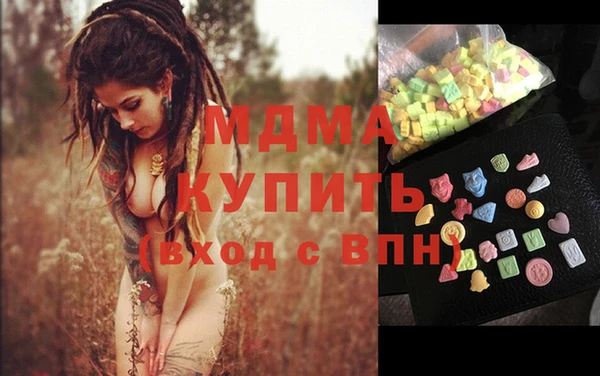 прущие грибы Тихвин
