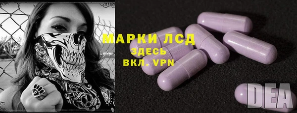 прущие грибы Тихвин