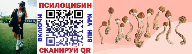 МЕГА как войти  магазин продажи   Невель  Псилоцибиновые грибы GOLDEN TEACHER 